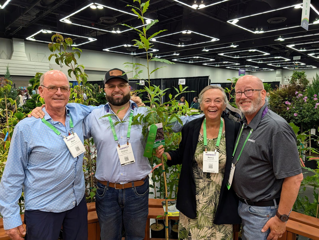 Saturnalia™ Oak Makes an Award-Winning Debut at Farwest