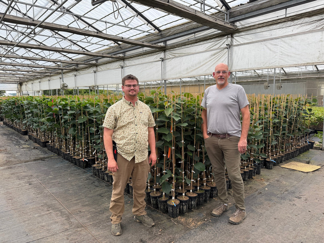 Summer Internship: Connecting Students with Real-World Nursery Experience